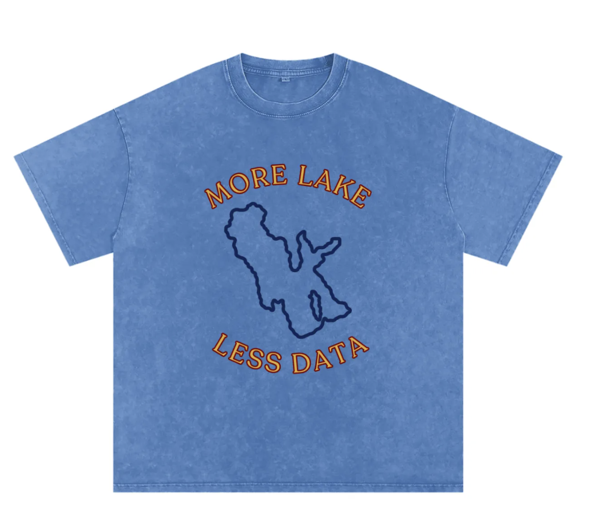More Lake Less Data tee